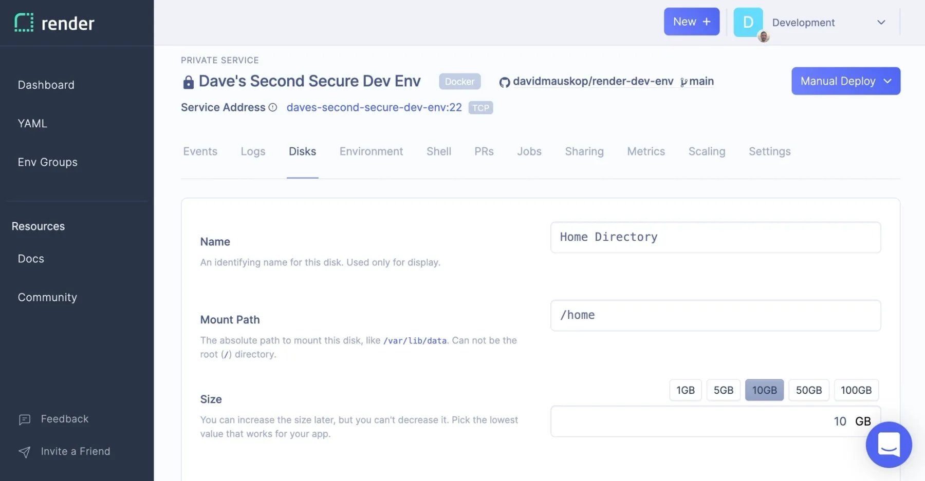 Mounting a persistent disk at /home